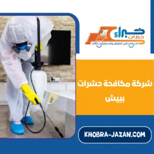 شركة مكافحة حشرات ببيش