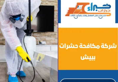شركة مكافحة حشرات ببيش