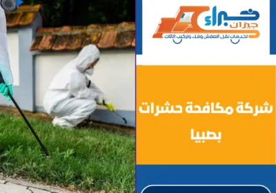 شركة مكافحة حشرات بصبيا
