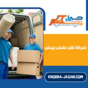 شركة نقل عفش ببيش